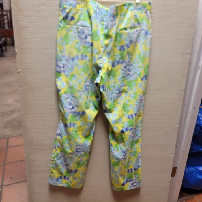 Lilly Pulitzer Men's Stuff VINTAGE Pants yellow blue Raccoons Size 36" x 30"