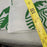 STARBUCKS bags lot of 2 green white Pair advertising NEW winebag tumbler tote